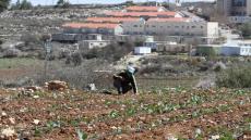 مخططات حكومة “نتانياهو، سموتريتش، بن چڤير” … التحديات الكامنة والفرص المحتملة