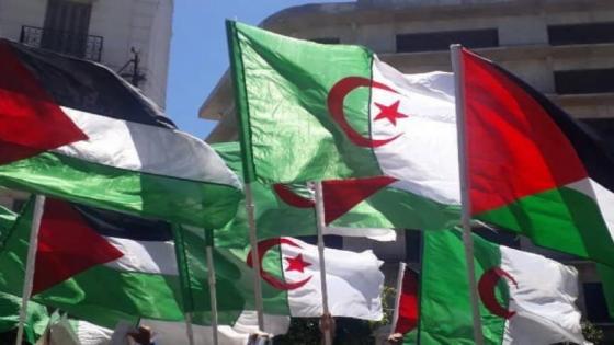 متطلبات الوحدة بين الجزائر والناصرة