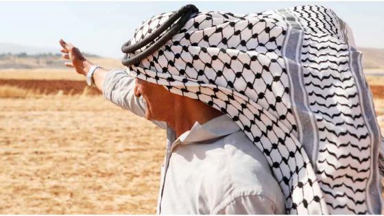 قراءة في تقرير منظمة “ريغافيم” اليمينية الواقع مقلوباً-الفلسطيني إذ يُتهم بسرقة أرضه!